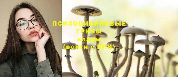 MESCALINE Кодинск