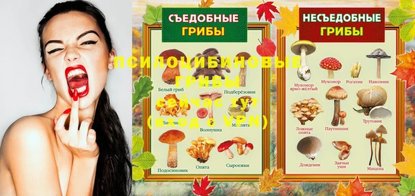 MESCALINE Кодинск