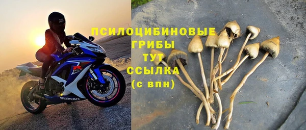 MESCALINE Кодинск